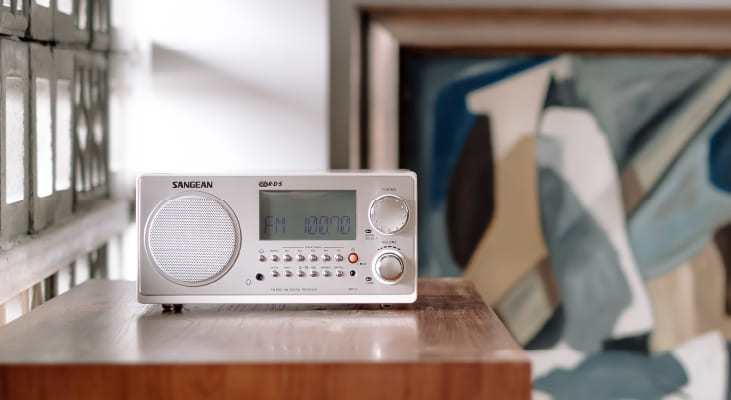 WR-2 AM / FM-RBDS Wooden Cabinet Digital Tuning Radio